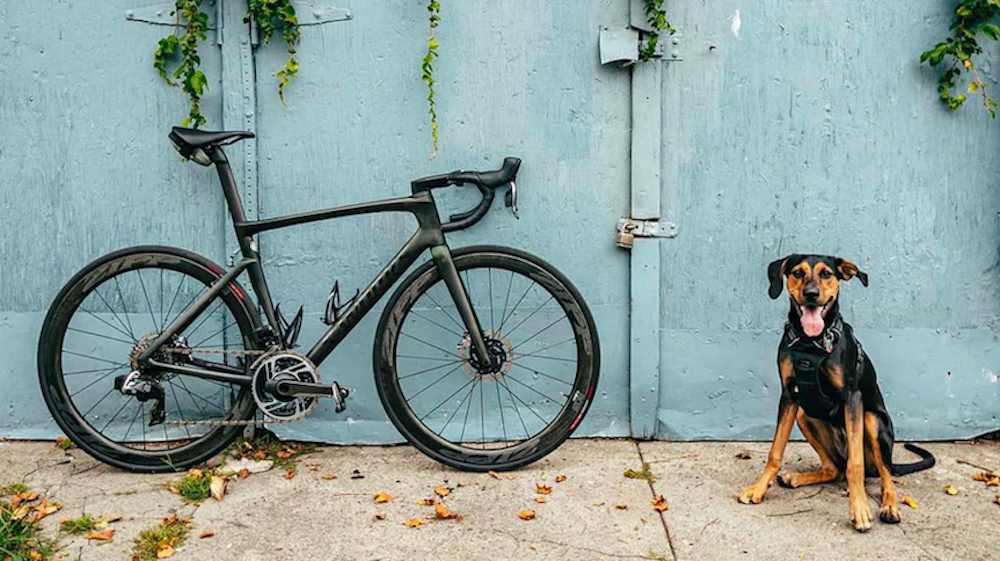 How To Choose A Road Bike