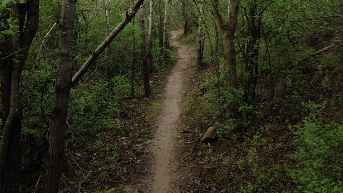 Madison Mountain Biking: Quarry Ridge