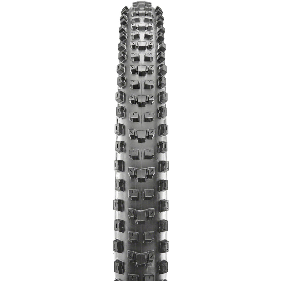 Maxxis Dissector 3CMaxxTerra EXO Tire_No_Color--Size-