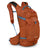 Raptor 14 Hydration Backpack _Yes_Color--Size-