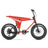 Moto 1 Electric Bike_Yes_Color--Size-