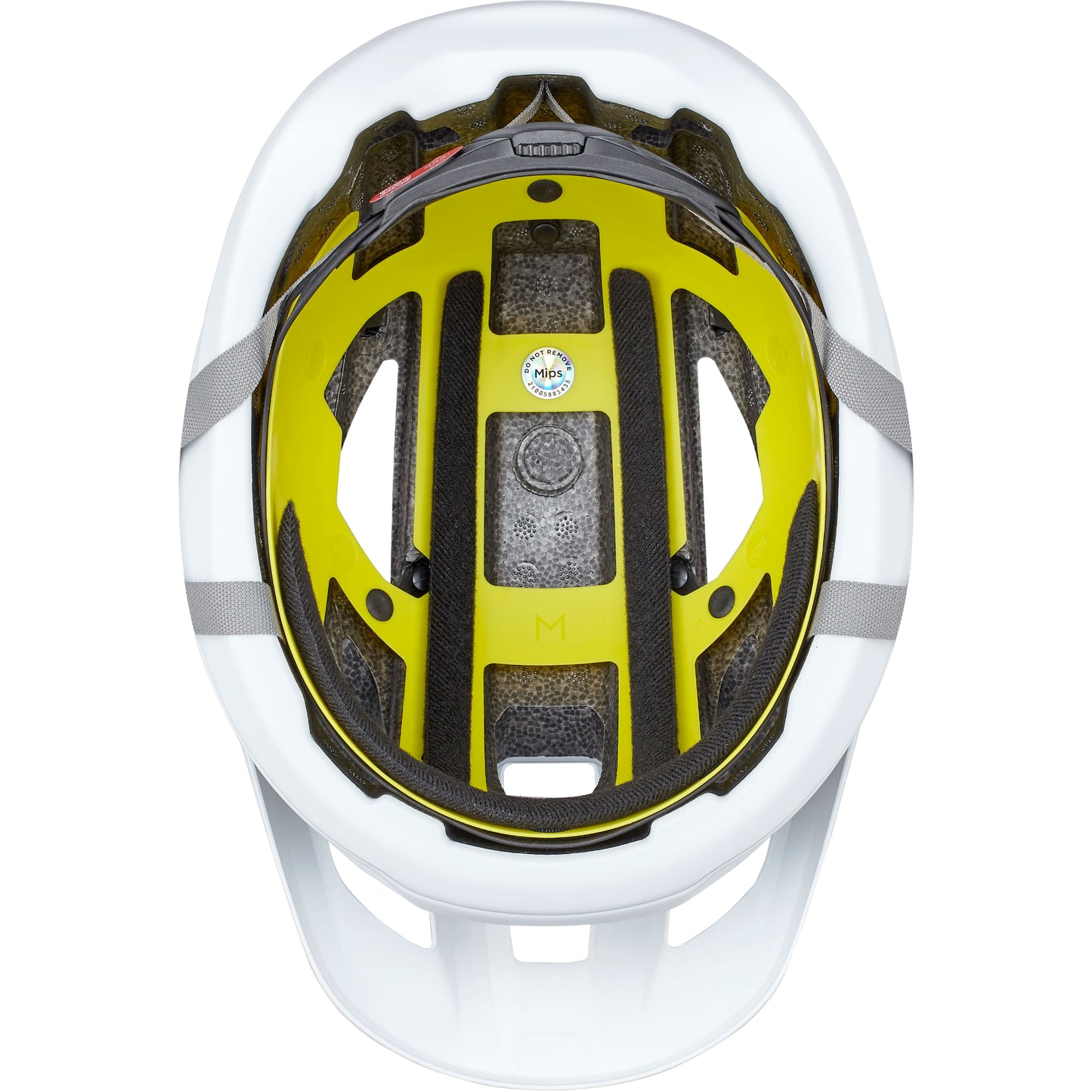 CamberHelmet2024-