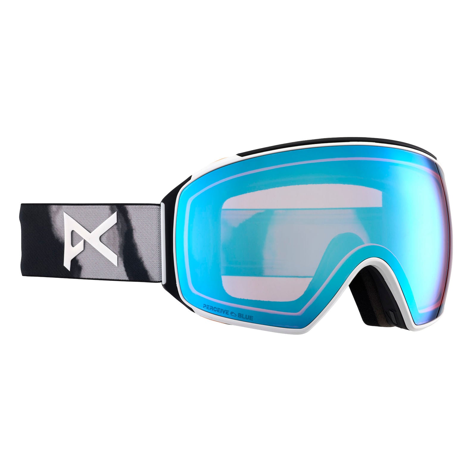 M4ToricGoggles-