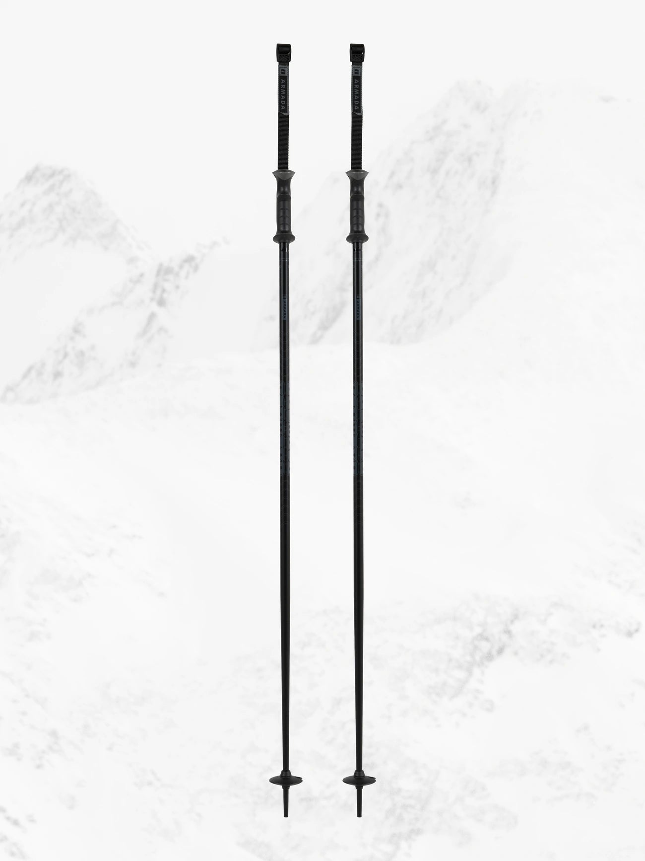 TriadSkiPoles-