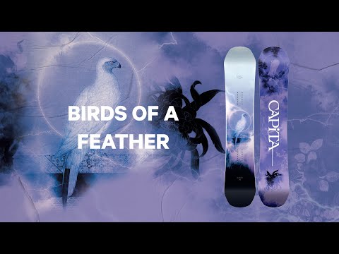 capita birds of a feather wide women’s snowboard 2024